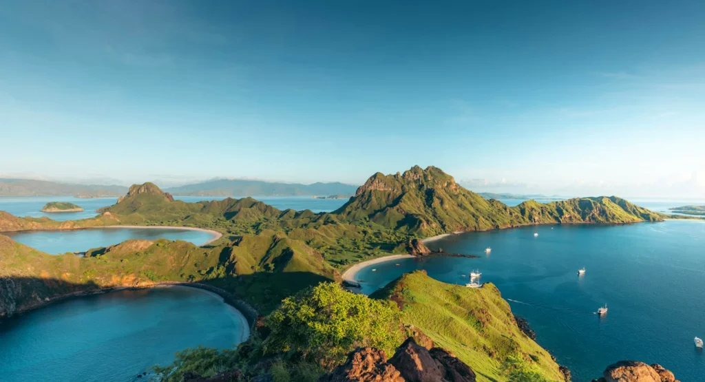 Komodo Summer